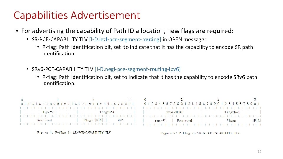 Capabilities Advertisement • For advertising the capability of Path ID allocation, new flags are