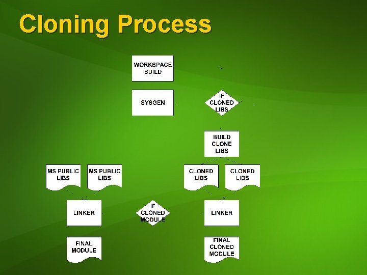 Cloning Process 