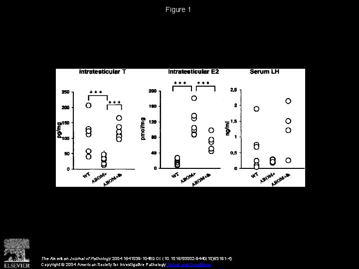Multiple Structural and Functional Abnormalities in the P
