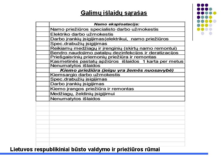 Galimų išlaidų sąrašas Lietuvos respublikiniai būsto valdymo ir priežiūros rūmai 