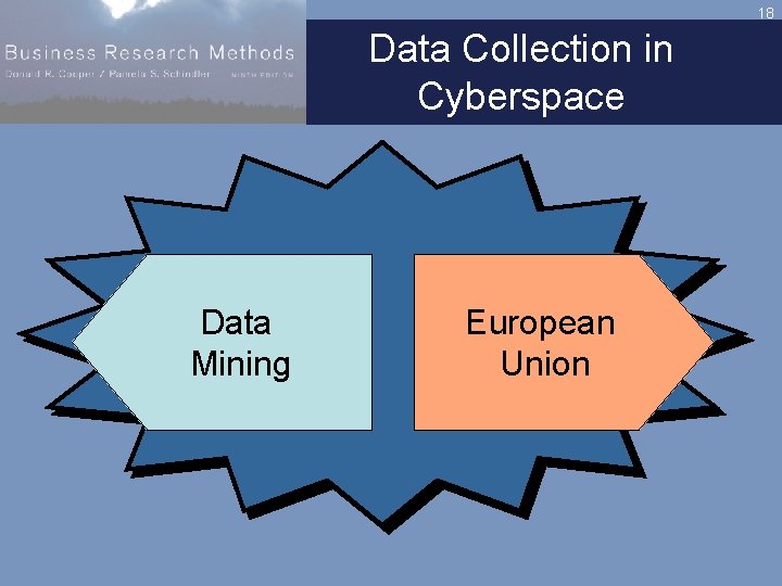 18 Data Collection in Cyberspace Data Mining European Union 