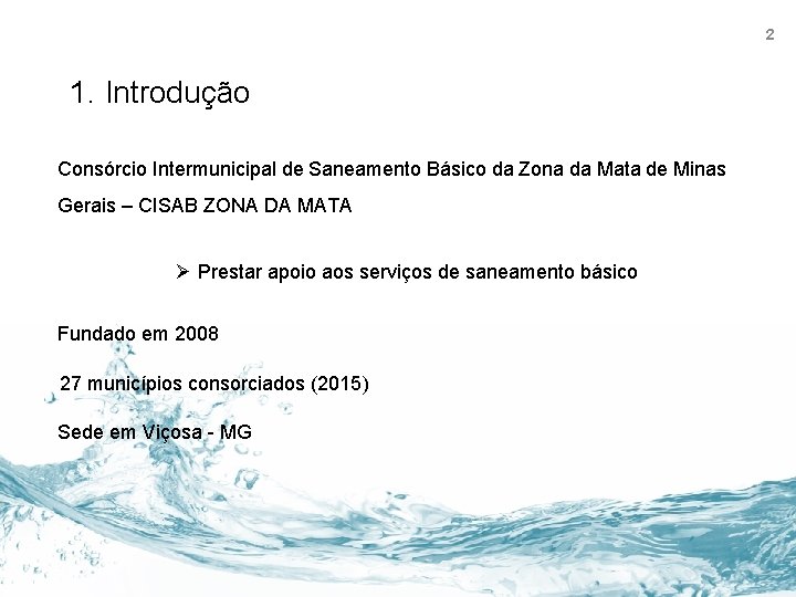 2 1. Introdução Consórcio Intermunicipal de Saneamento Básico da Zona da Mata de Minas