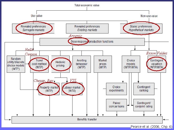 Arsenic Hells Canyon Chesap. Bay Exxon Valdez VSL Pearce et al. (2006, Chp. 6)