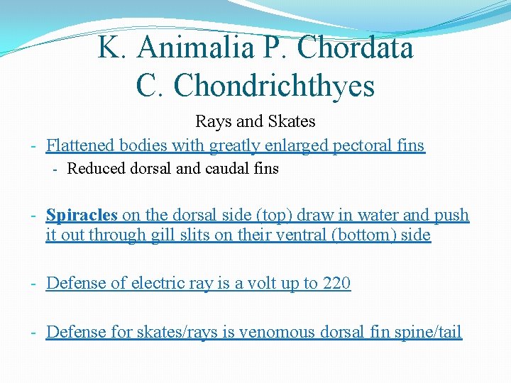 K. Animalia P. Chordata C. Chondrichthyes Rays and Skates - Flattened bodies with greatly