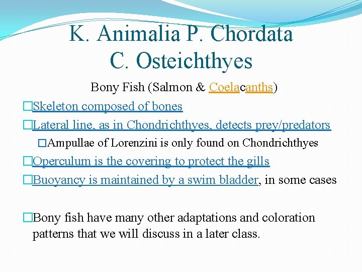 K. Animalia P. Chordata C. Osteichthyes Bony Fish (Salmon & Coelacanths) �Skeleton composed of