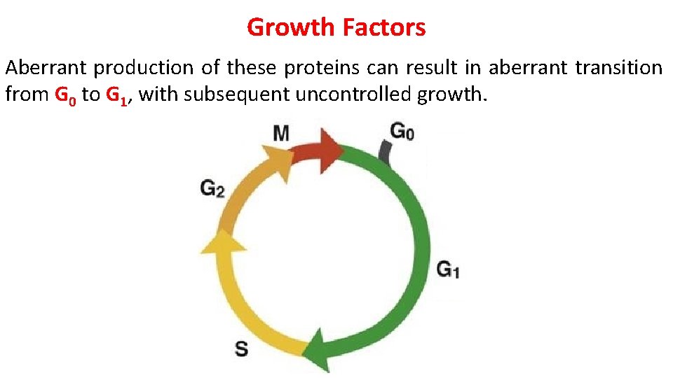 Growth Factors Aberrant production of these proteins can result in aberrant transition from G