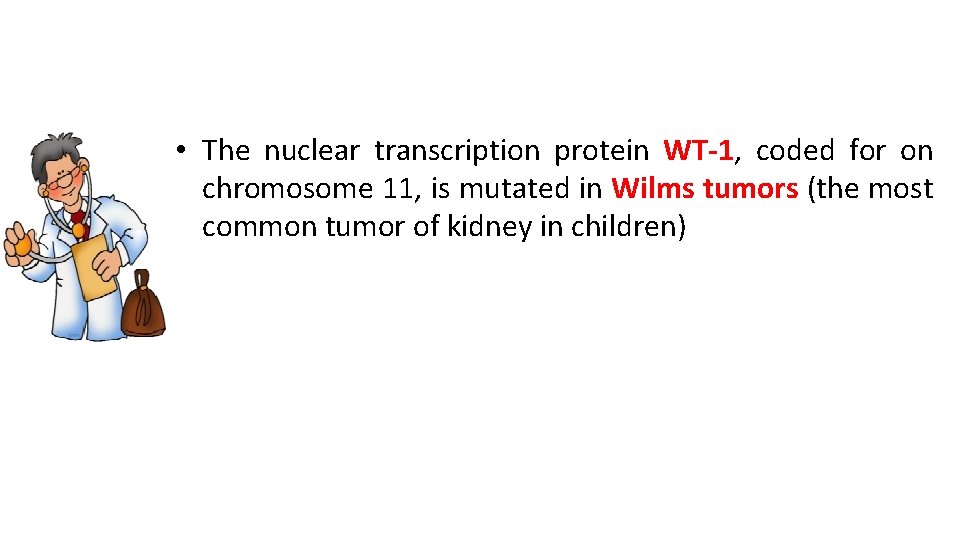  • The nuclear transcription protein WT-1, coded for on chromosome 11, is mutated