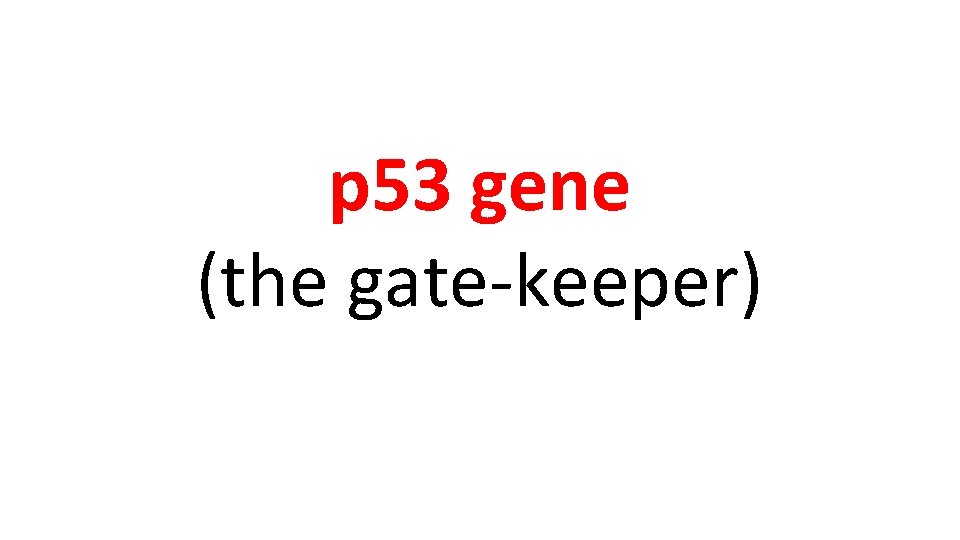 p 53 gene (the gate-keeper) 