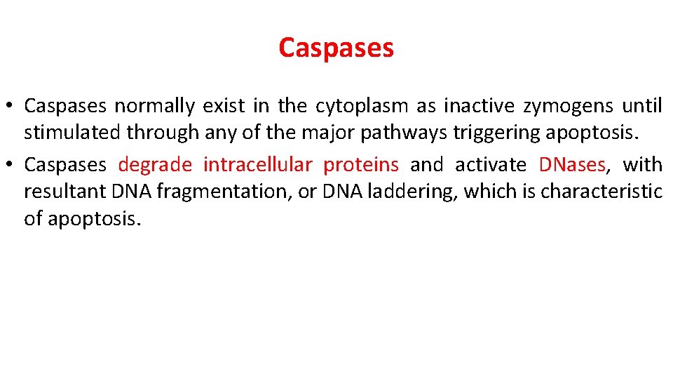 Caspases • Caspases normally exist in the cytoplasm as inactive zymogens until stimulated through