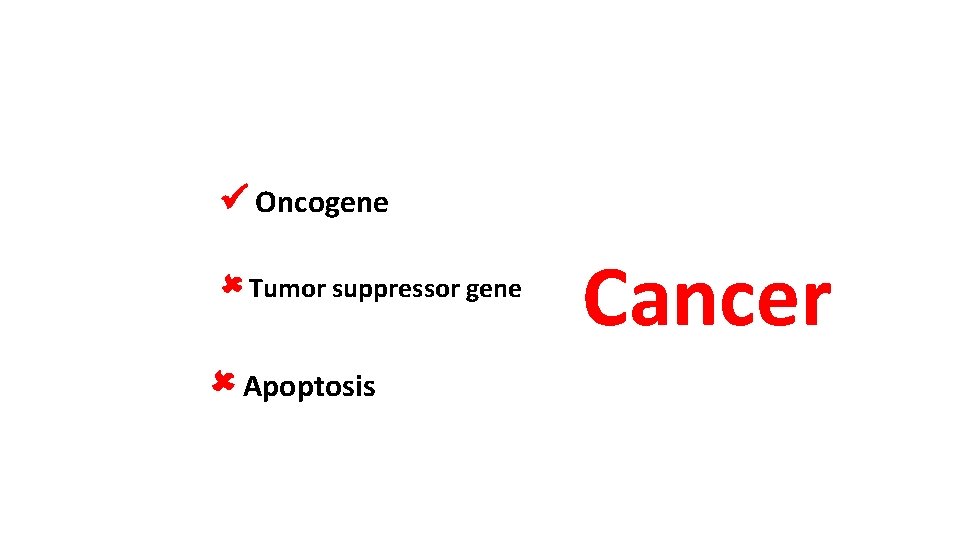  Oncogene Tumor suppressor gene Apoptosis Cancer 