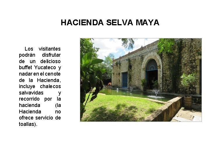 HACIENDA SELVA MAYA Los visitantes podrán disfrutar de un delicioso buffet Yucateco y nadar