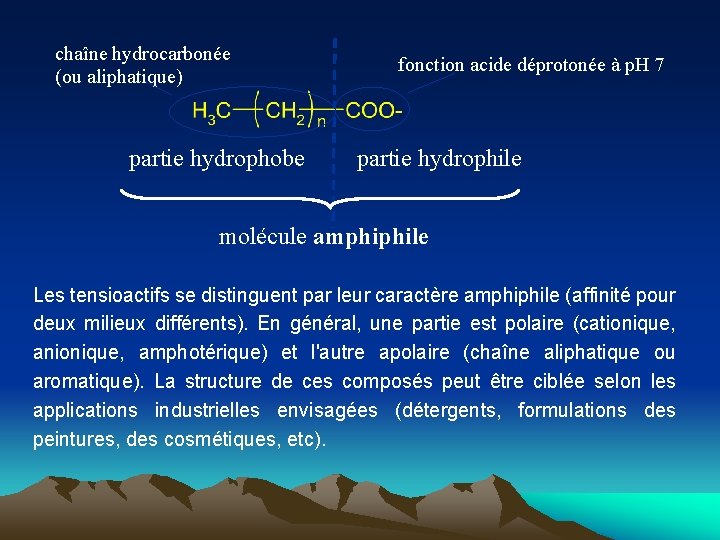 chaîne hydrocarbonée (ou aliphatique) partie hydrophobe fonction acide déprotonée à p. H 7 partie