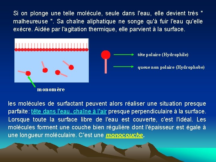 Si on plonge une telle molécule, seule dans l'eau, elle devient très " malheureuse