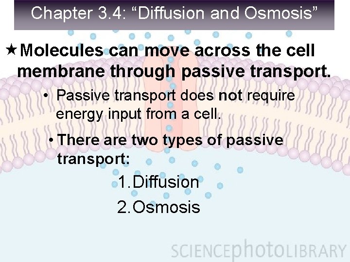 Chapter 3. 4: “Diffusion and Osmosis” Molecules can move across the cell membrane through
