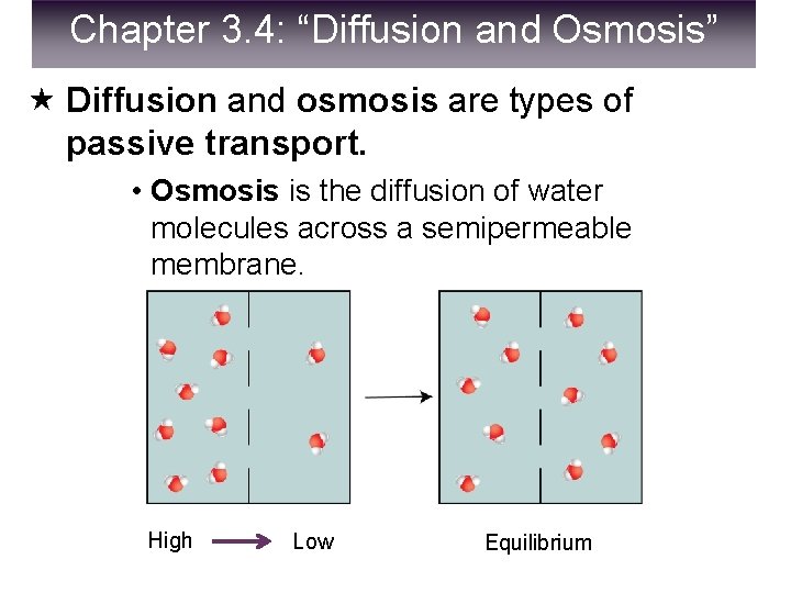 Chapter 3. 4: “Diffusion and Osmosis” Diffusion and osmosis are types of passive transport.