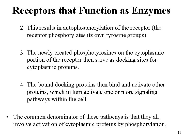 Receptors that Function as Enzymes 2. This results in autophosphorylation of the receptor (the
