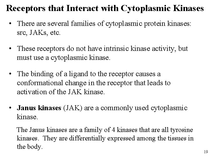 Receptors that Interact with Cytoplasmic Kinases • There are several families of cytoplasmic protein