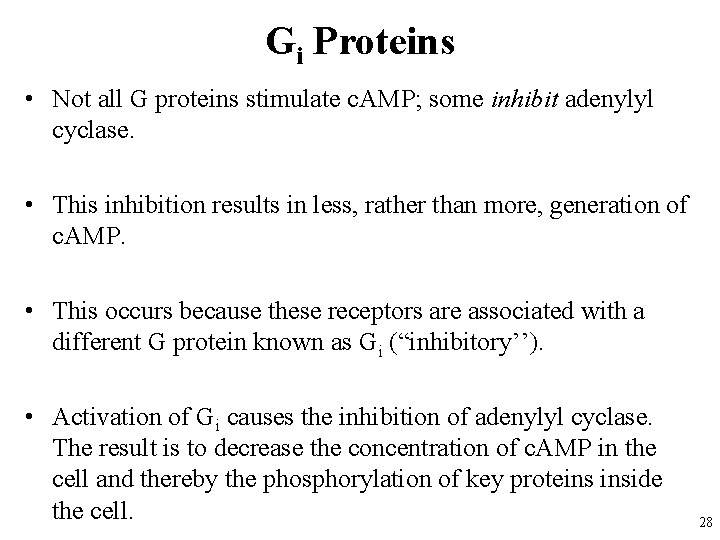 Gi Proteins • Not all G proteins stimulate c. AMP; some inhibit adenylyl cyclase.