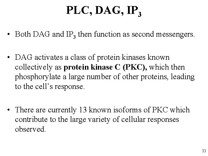 PLC, DAG, IP 3 • Both DAG and IP 3 then function as second