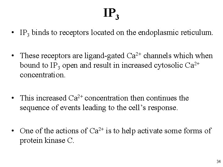 IP 3 • IP 3 binds to receptors located on the endoplasmic reticulum. •