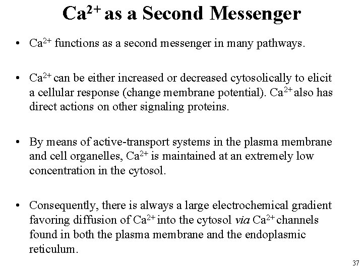 Ca 2+ as a Second Messenger • Ca 2+ functions as a second messenger