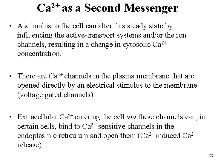 Ca 2+ as a Second Messenger • A stimulus to the cell can alter