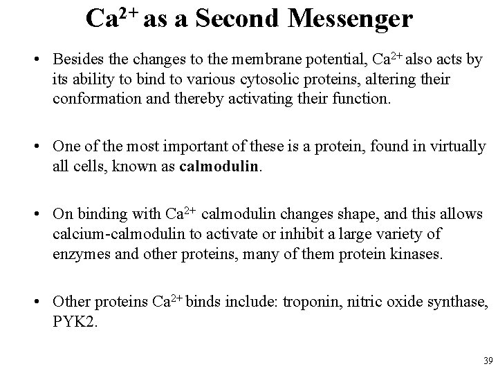 Ca 2+ as a Second Messenger • Besides the changes to the membrane potential,