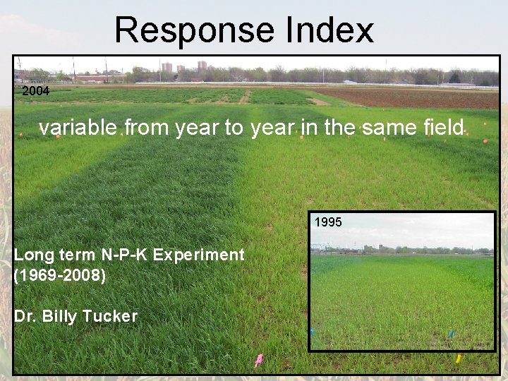 Response Index 2004 variable from year to year in the same field 1995 Long