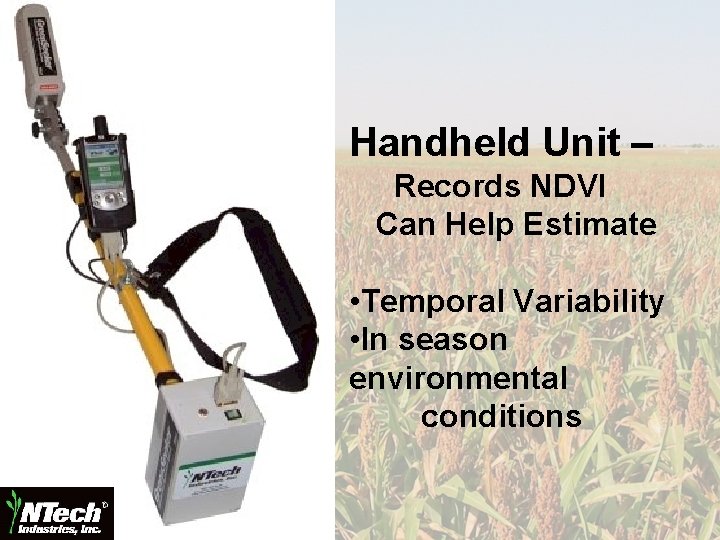 Handheld Unit – Records NDVI Can Help Estimate • Temporal Variability • In season