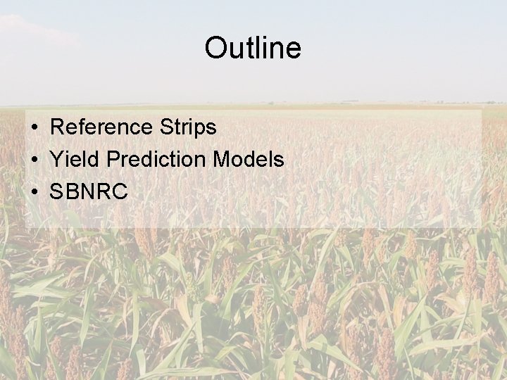 Outline • Reference Strips • Yield Prediction Models • SBNRC 