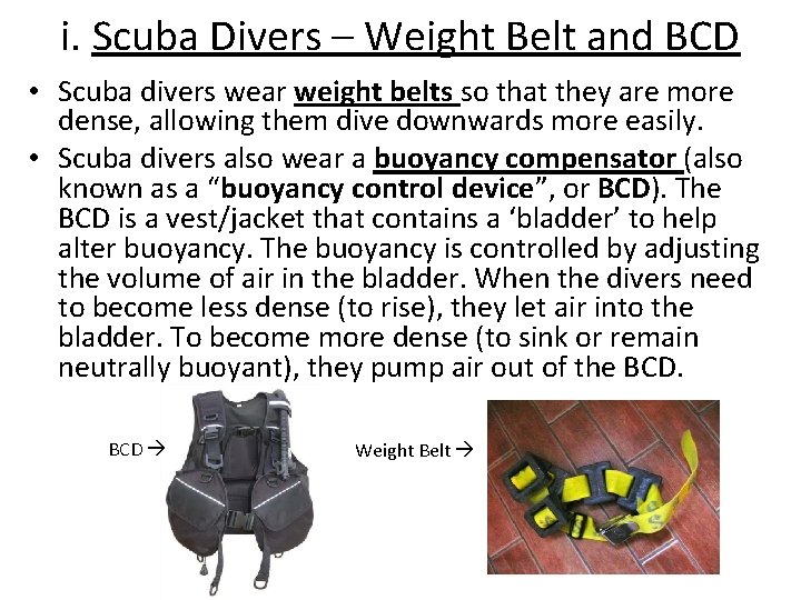 i. Scuba Divers – Weight Belt and BCD • Scuba divers wear weight belts