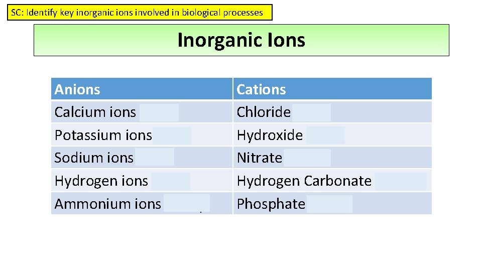 SC: Identify key inorganic ions involved in biological processes Inorganic Ions Anions Calcium ions