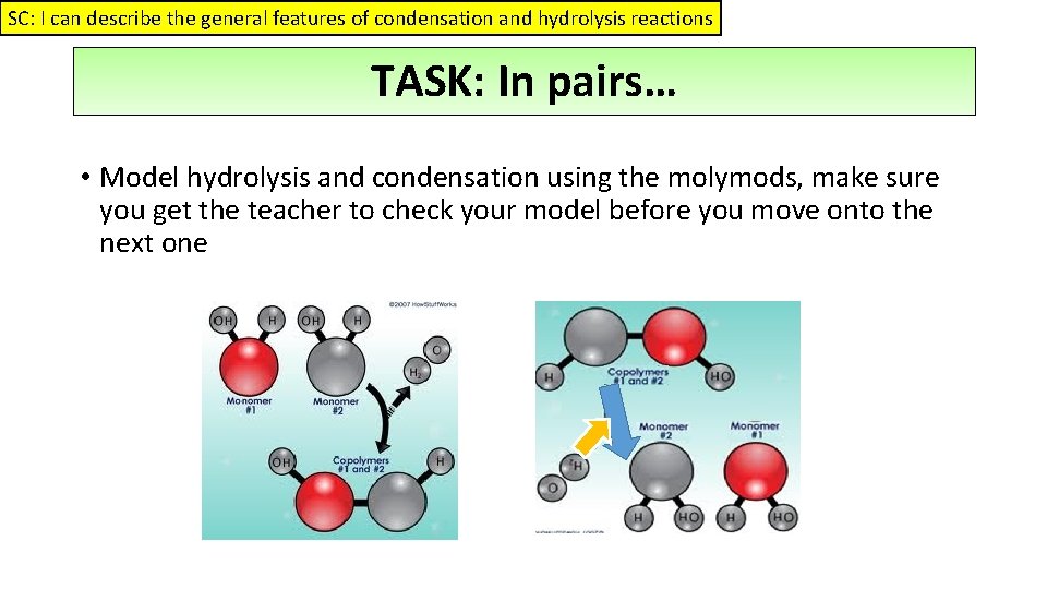 SC: I can describe the general features of condensation and hydrolysis reactions TASK: In