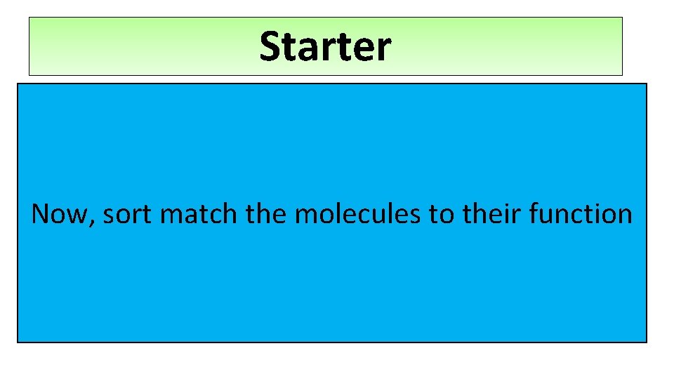 Starter Biological molecules essential for life… Lipids Proteins Carbohydrates Now, sort match the molecules