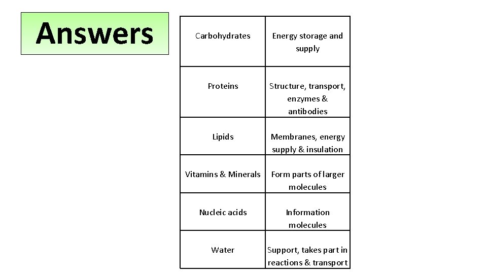 Answers Carbohydrates Energy storage and supply Proteins Structure, transport, enzymes & antibodies Lipids Membranes,