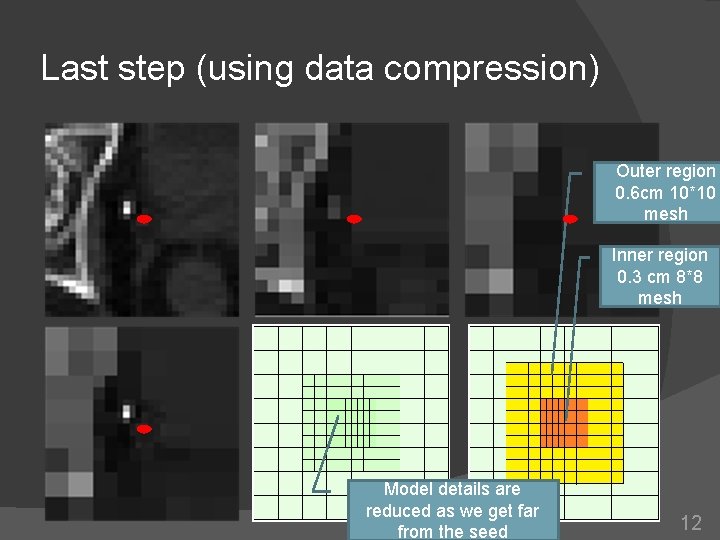 Last step (using data compression) Outer region 0. 6 cm 10*10 mesh Inner region Last step (using data compression) Outer region 0. 6 cm 10*10 mesh Inner region