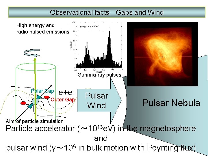 Observational facts: Gaps and Wind High energy and radio pulsed emissions Gamma-ray pulses Polar