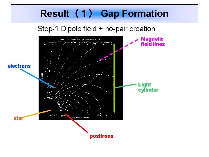 Result（１） Gap Formation Step-1 Dipole field + no-pair creation Magnetic field lines electrons Light