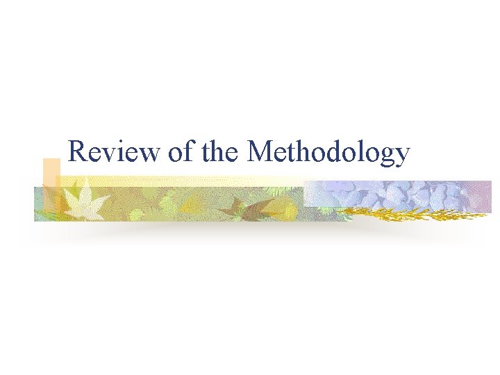 Review of the Methodology 