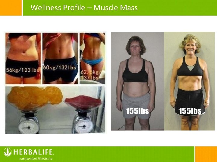 Wellness Profile – Muscle Mass 