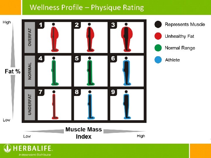 Wellness Profile – Physique Rating 