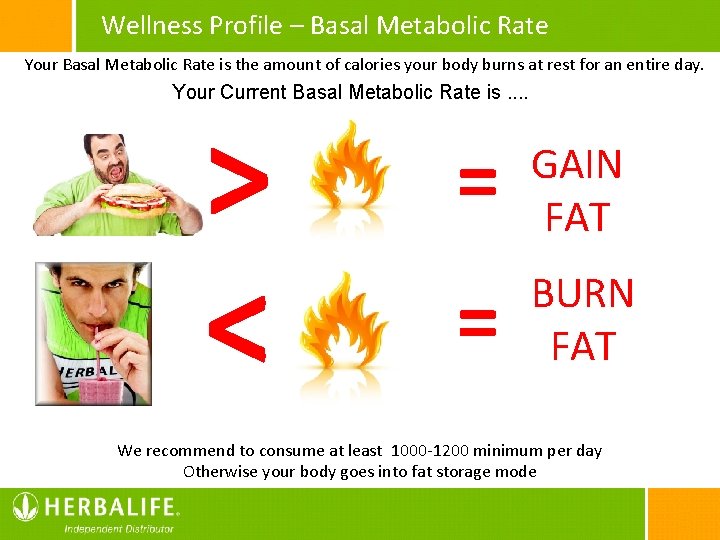 Wellness Profile – Basal Metabolic Rate Your Basal Metabolic Rate is the amount of