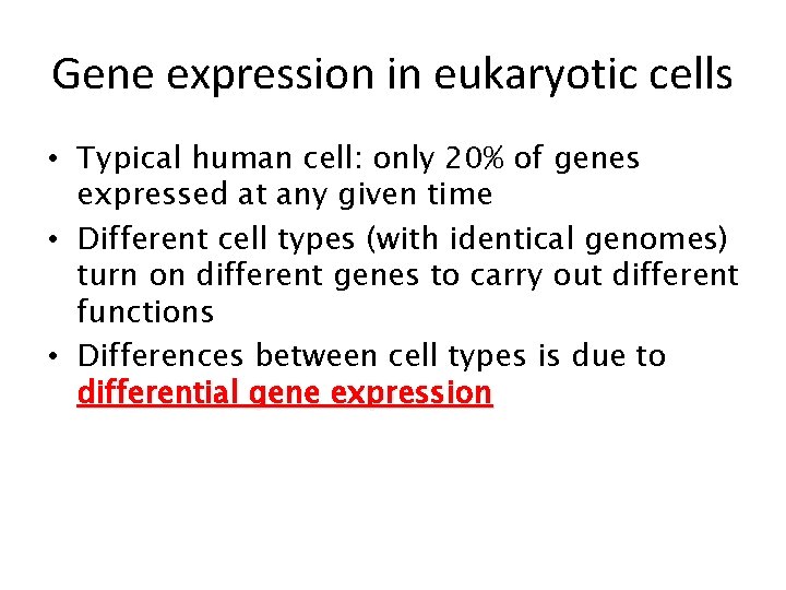 Gene expression in eukaryotic cells • Typical human cell: only 20% of genes expressed