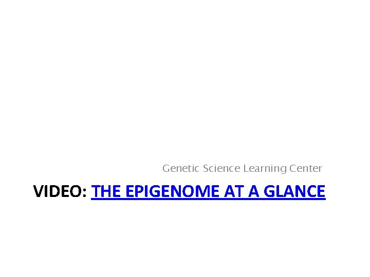 Genetic Science Learning Center VIDEO: THE EPIGENOME AT A GLANCE 