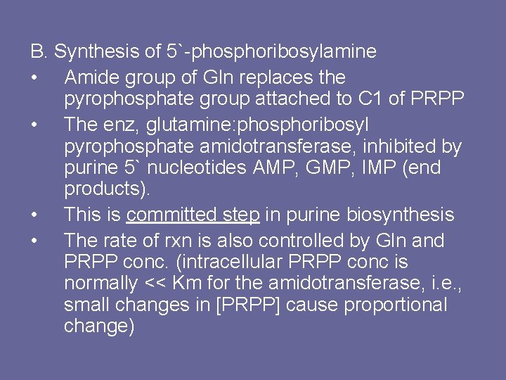 B. Synthesis of 5`-phosphoribosylamine • Amide group of Gln replaces the pyrophosphate group attached