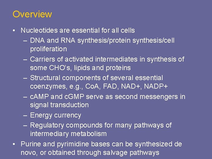 Overview • Nucleotides are essential for all cells – DNA and RNA synthesis/protein synthesis/cell
