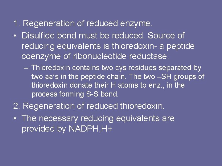 1. Regeneration of reduced enzyme. • Disulfide bond must be reduced. Source of reducing