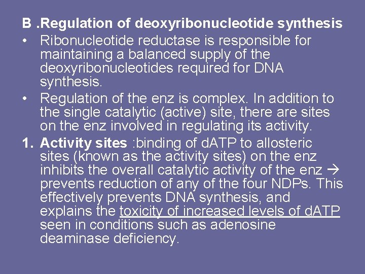 B. Regulation of deoxyribonucleotide synthesis • Ribonucleotide reductase is responsible for maintaining a balanced