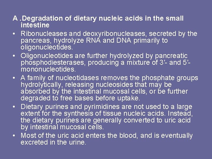 A. Degradation of dietary nucleic acids in the small intestine • Ribonucleases and deoxyribonucleases,