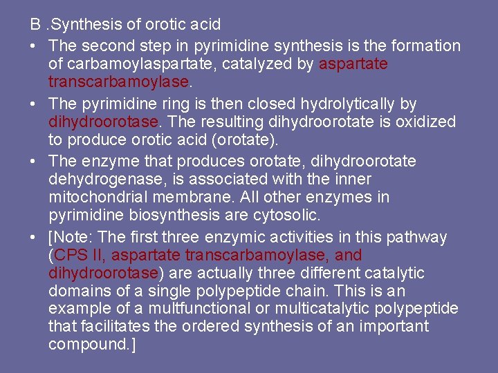 B. Synthesis of orotic acid • The second step in pyrimidine synthesis is the